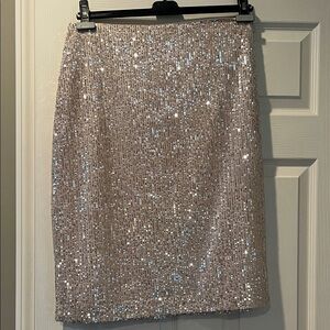 Loft Sequin Pencil Skirt size 10